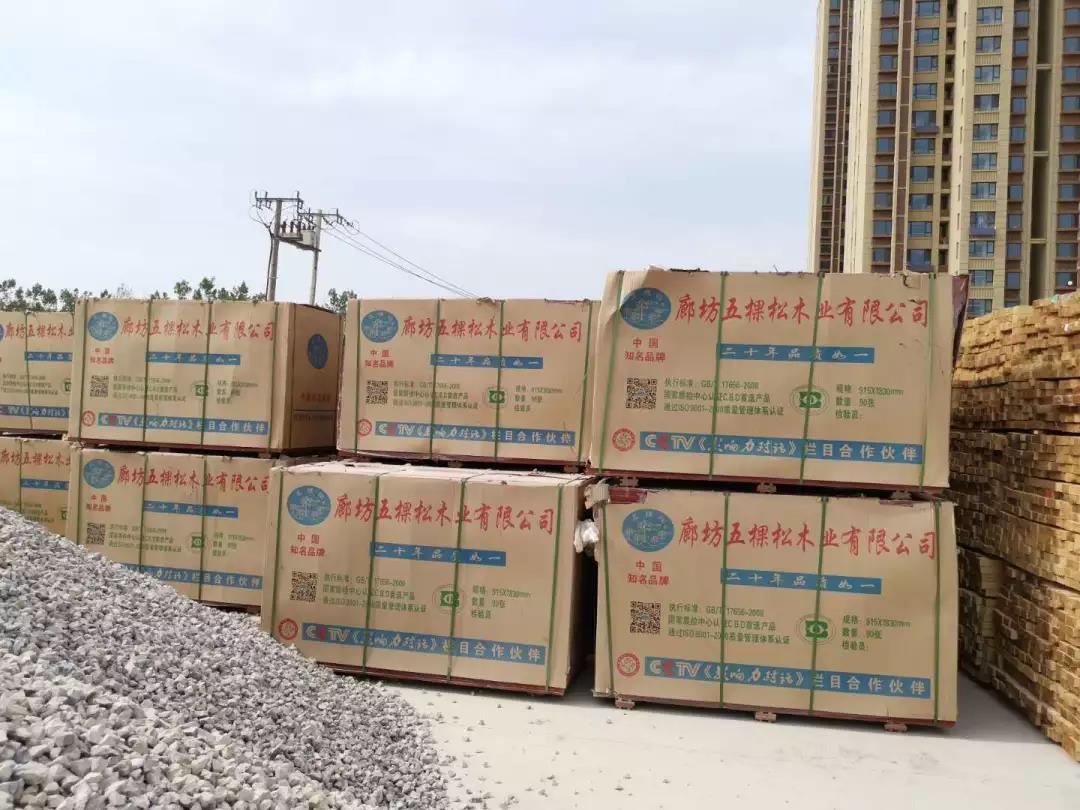 五棵松集團助力滄州新地標---京貴大廈