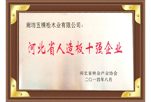 河北省人造板十強企業(yè)